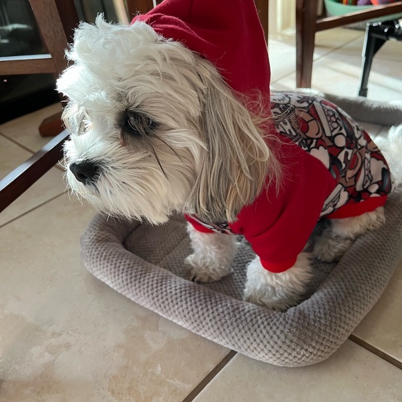 Meet your Posher, Ali! - Picture 6 of 12